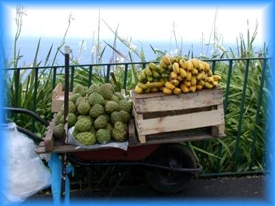 in Richtung Ponte Delgada