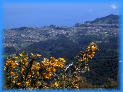 Achada do Teixeira 1592 m