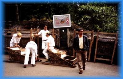 Korbschlitten in Monte