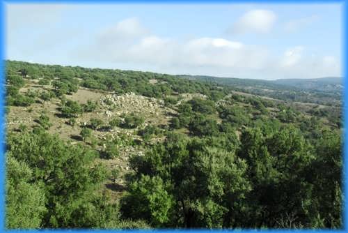 in den Bergen Sardiniens