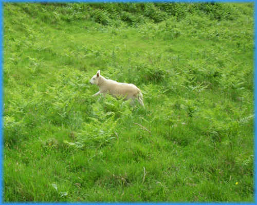 Staumauer Santa Chiara