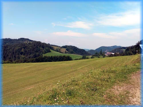 Steiermark 2019