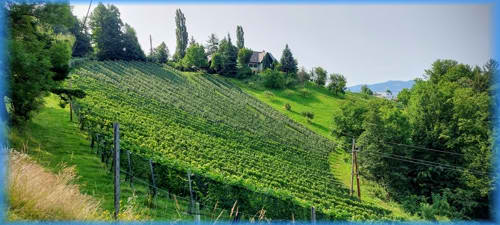 Süd-Steiermark und Burgenland 2023