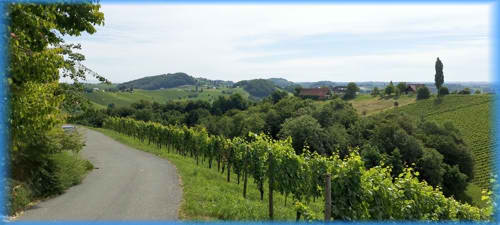 Süd-Steiermark und Burgenland 2023