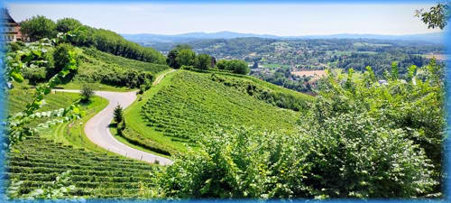 Süd-Steiermark und Burgenland 2023