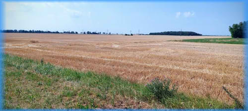 Süd-Steiermark und Burgenland 2023