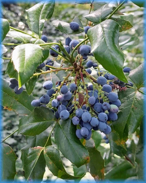 Süd-Steiermark und Burgenland 2023