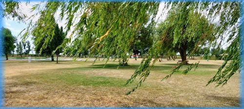 Süd-Steiermark und Burgenland 2023